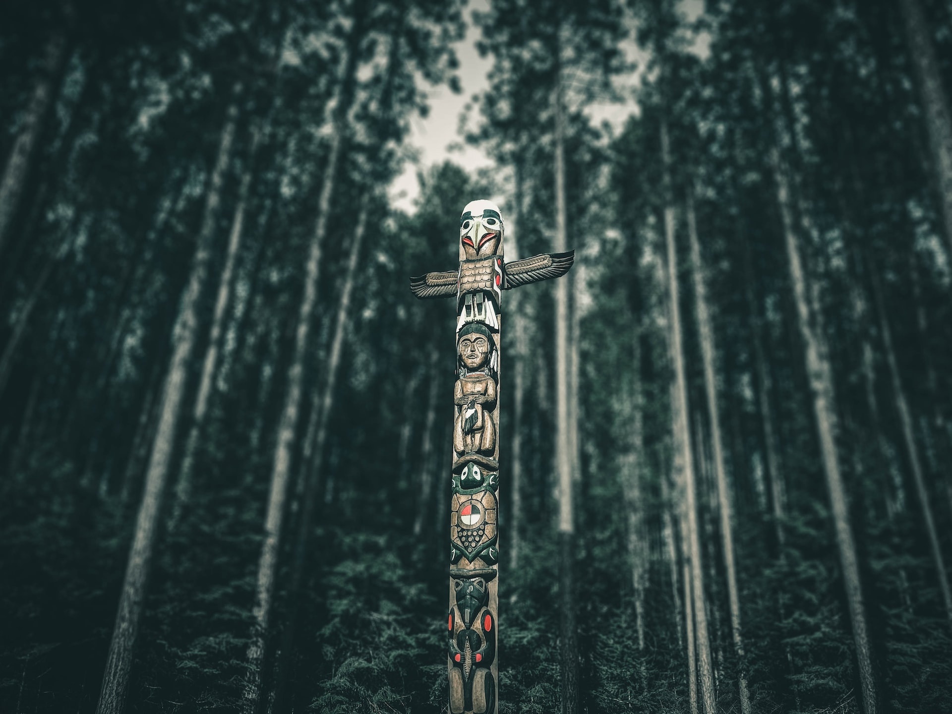 ¿Que son y Cómo funcionan los Oráculos de Validación?